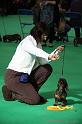 Crufts2011_2 711